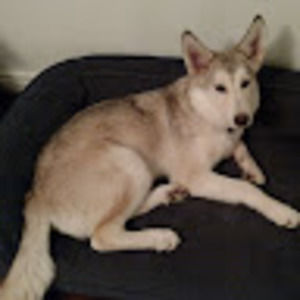 Meet your Posher, Johnmark